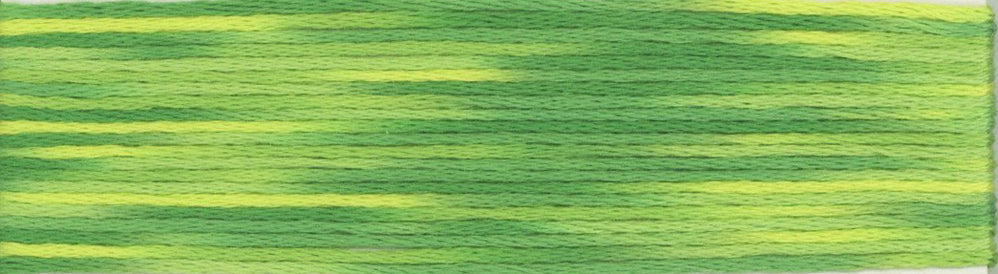 Cosmo Seasons Variegated Embroidery Floss 80 9005