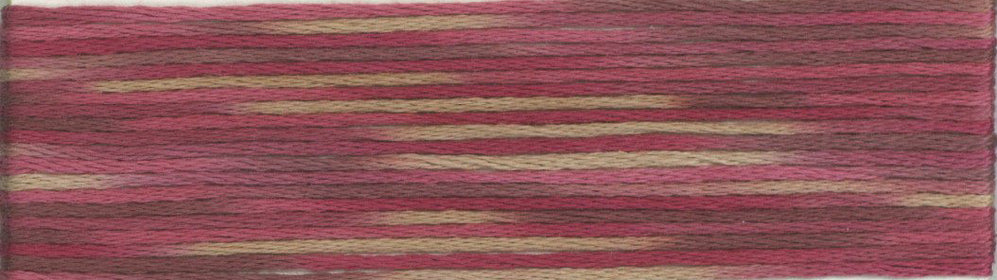 Cosmo Seasons Variegated Embroidery Floss 80 9010