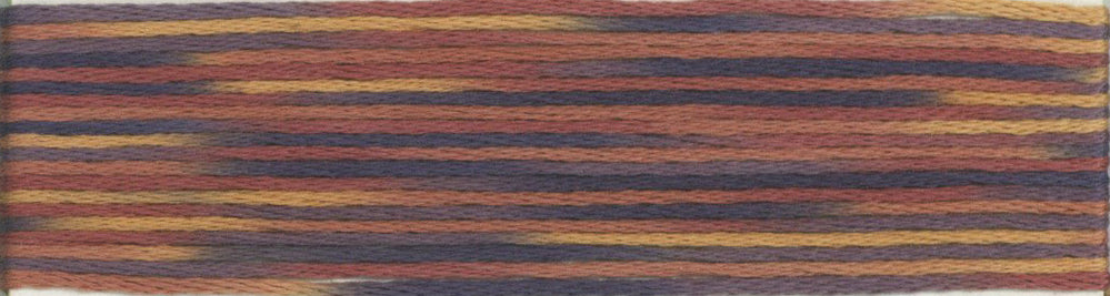 Cosmo Seasons Variegated Embroidery Floss 80 9013