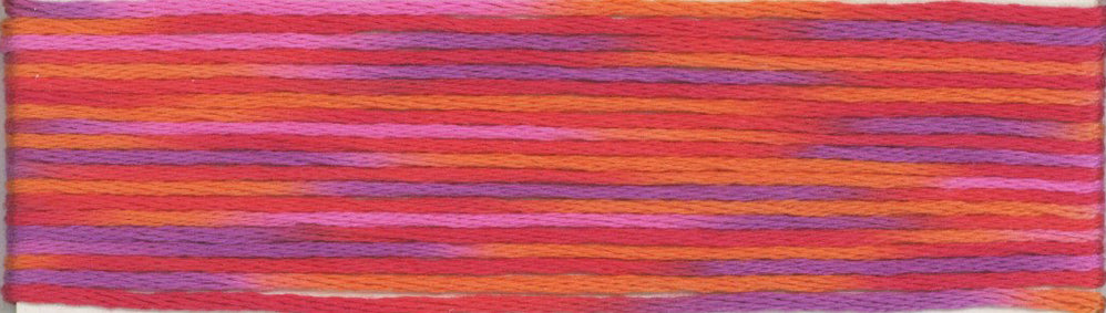 Cosmo Seasons Variegated Embroidery Floss 80 9018