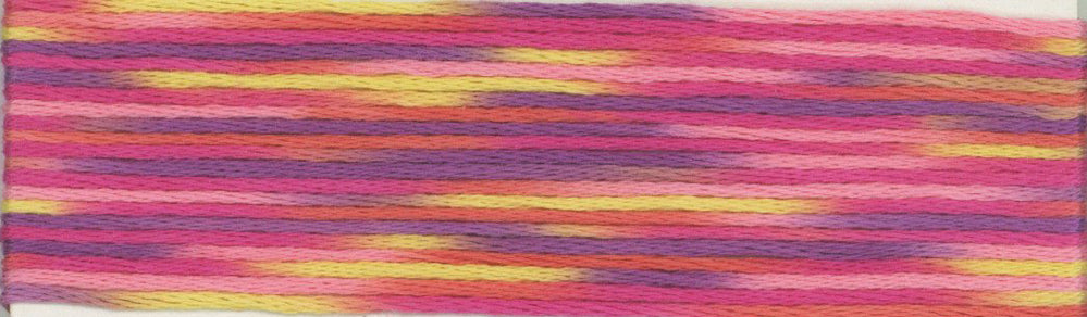 Cosmo Seasons Variegated Embroidery Floss 80 9020