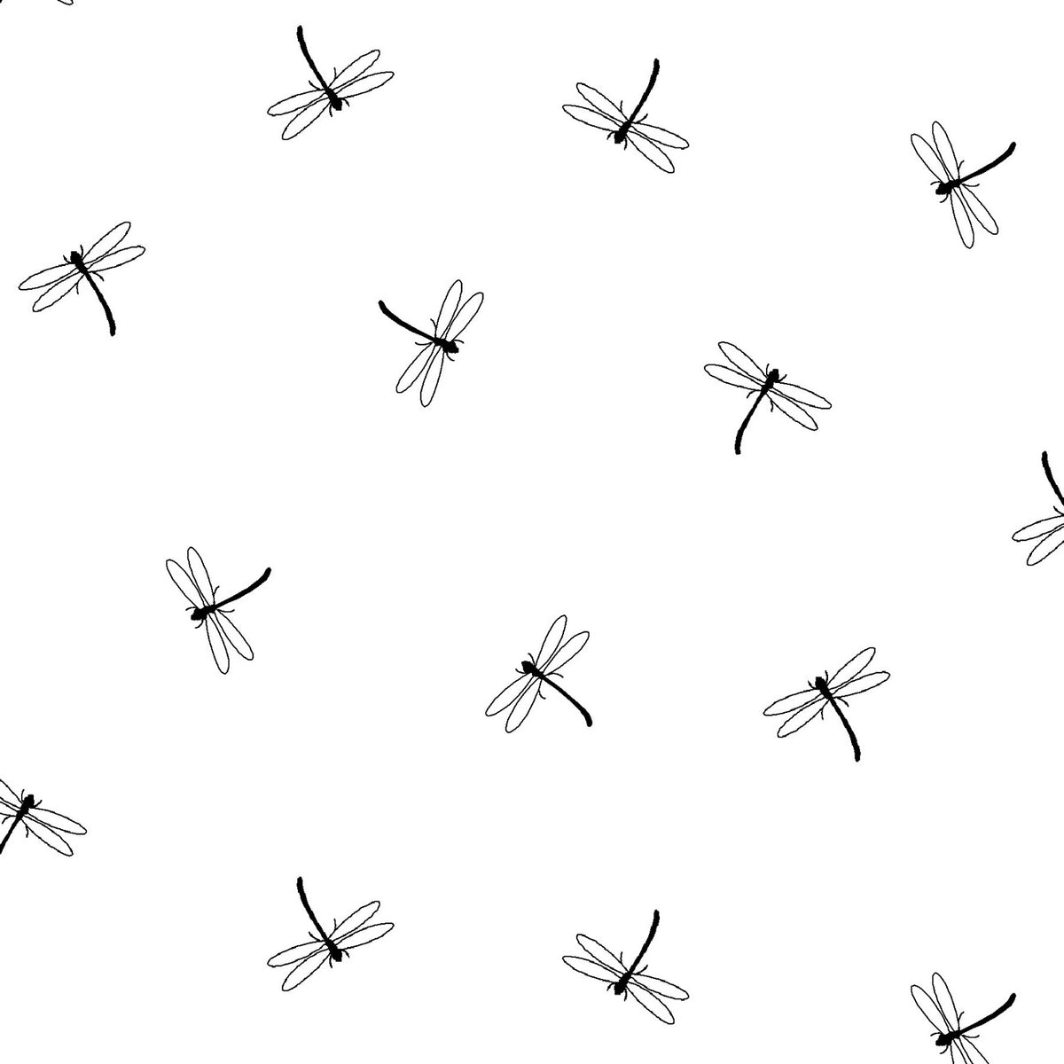 Ramblings Fun – White on White Dragonflies