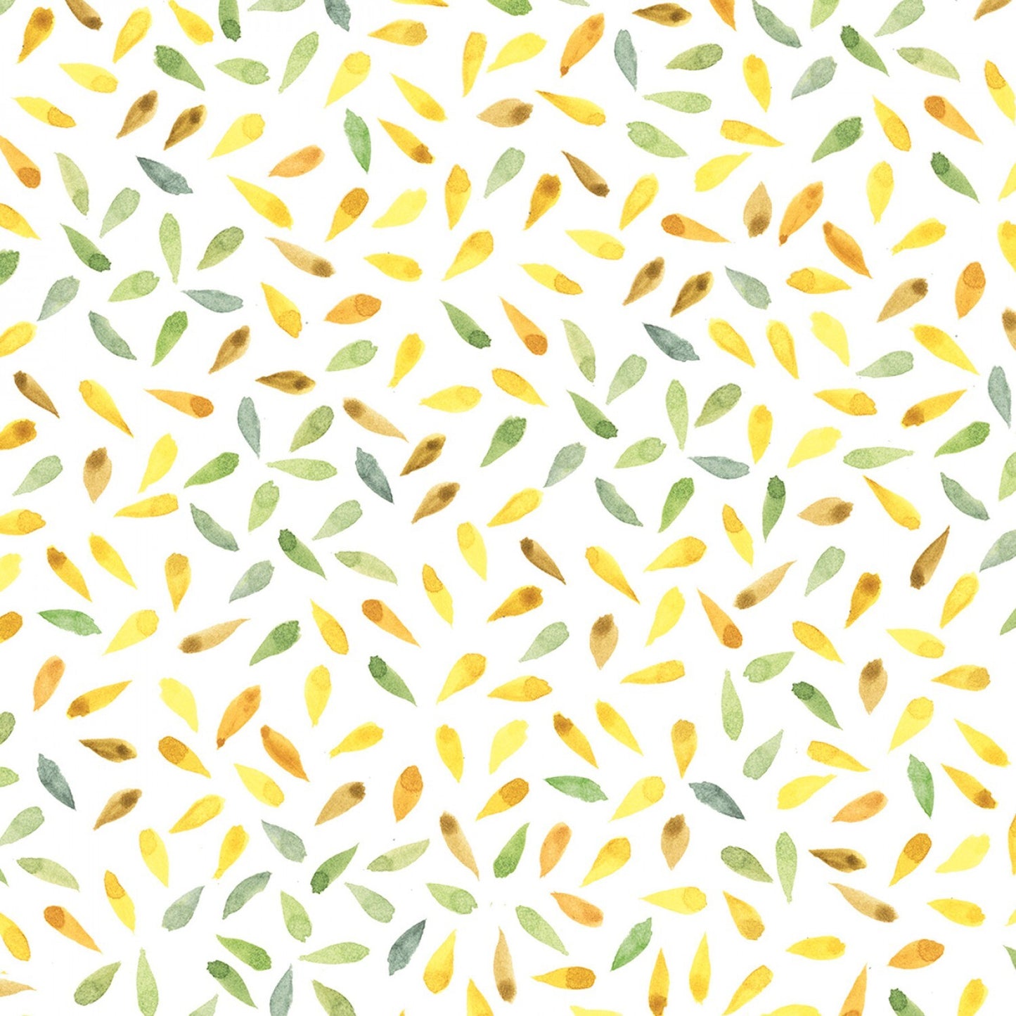 Sunflower Field - Multi Petals