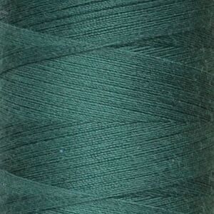 Rasant Thread 1618 - Forest Green - Everything Fabric