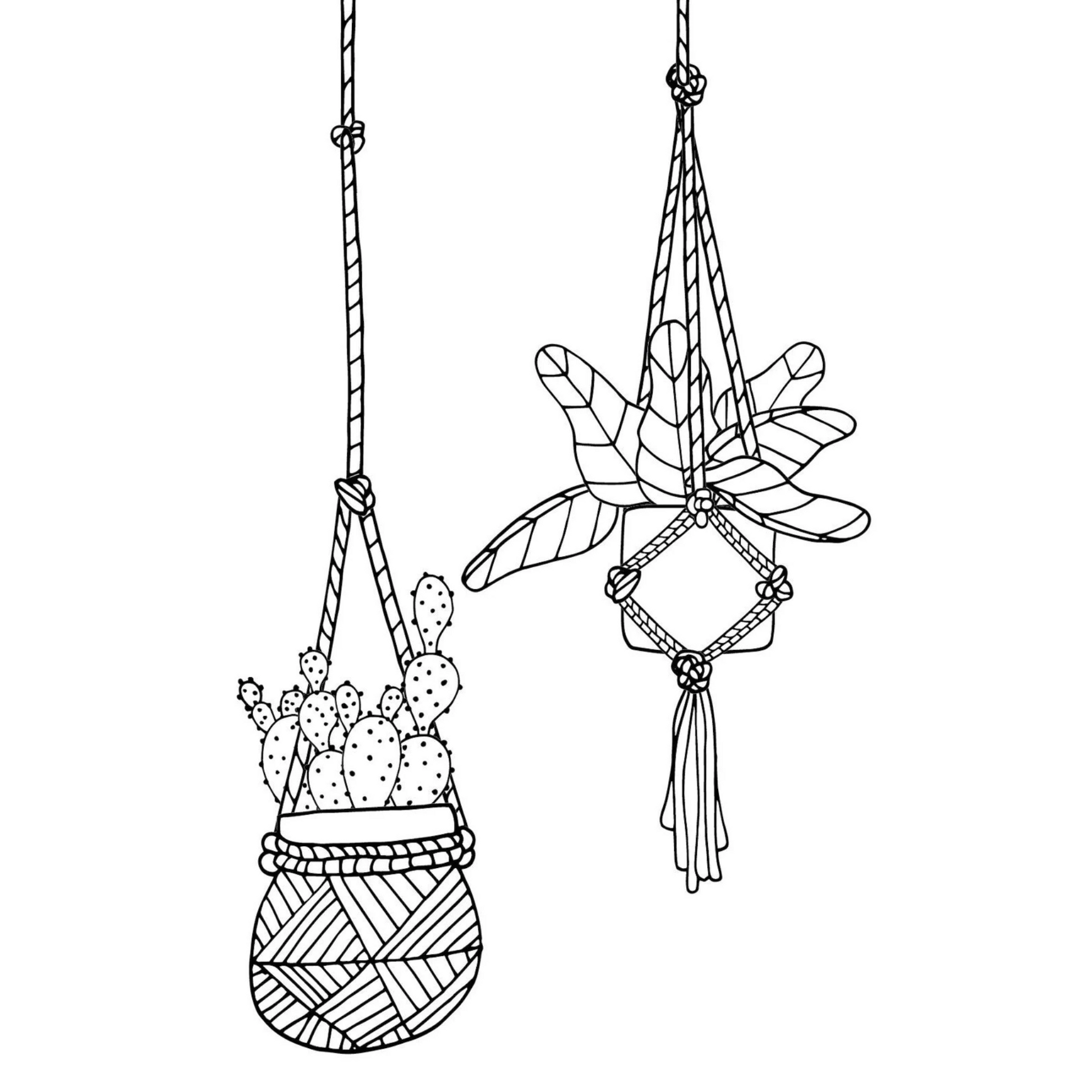 Iron on Urban Jungle Houseplants Succulents Cacti and More sewing and quilting product