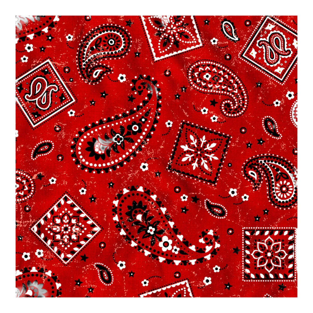 Wild West Bandana Red