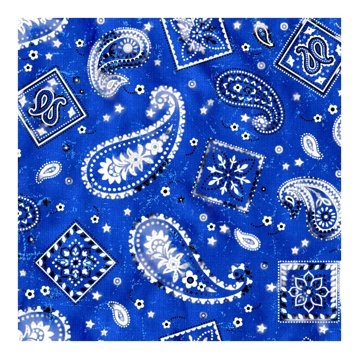 Wild West Bandana Blue
