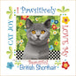 6in Art Panel - BRITISH SHORTHAIR CAT - Everything Fabric