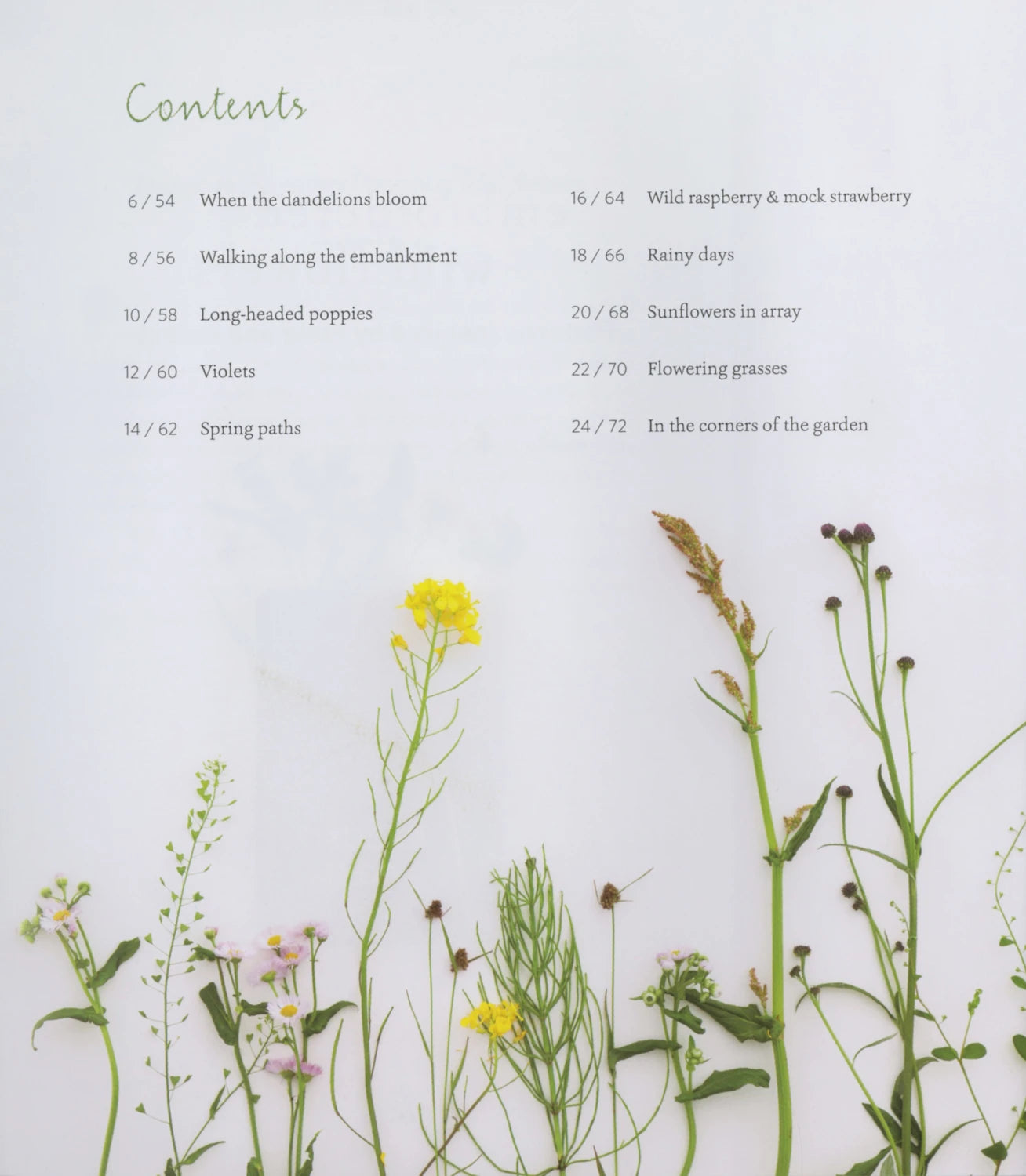 Embroidered Wild Flowers Book