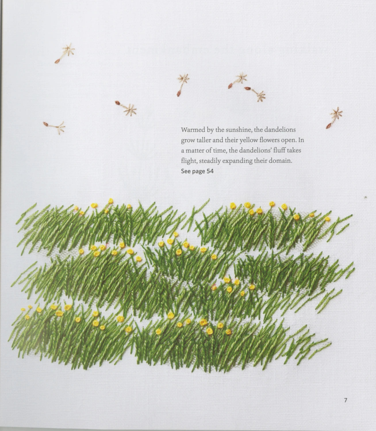 Embroidered Wild Flowers Book