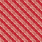 Riders on the Range - Diagonal Stripe Red