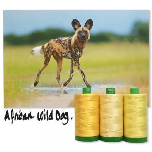 Aurifil 3pc Set African Wild Dog 40wt , piecing and stitching