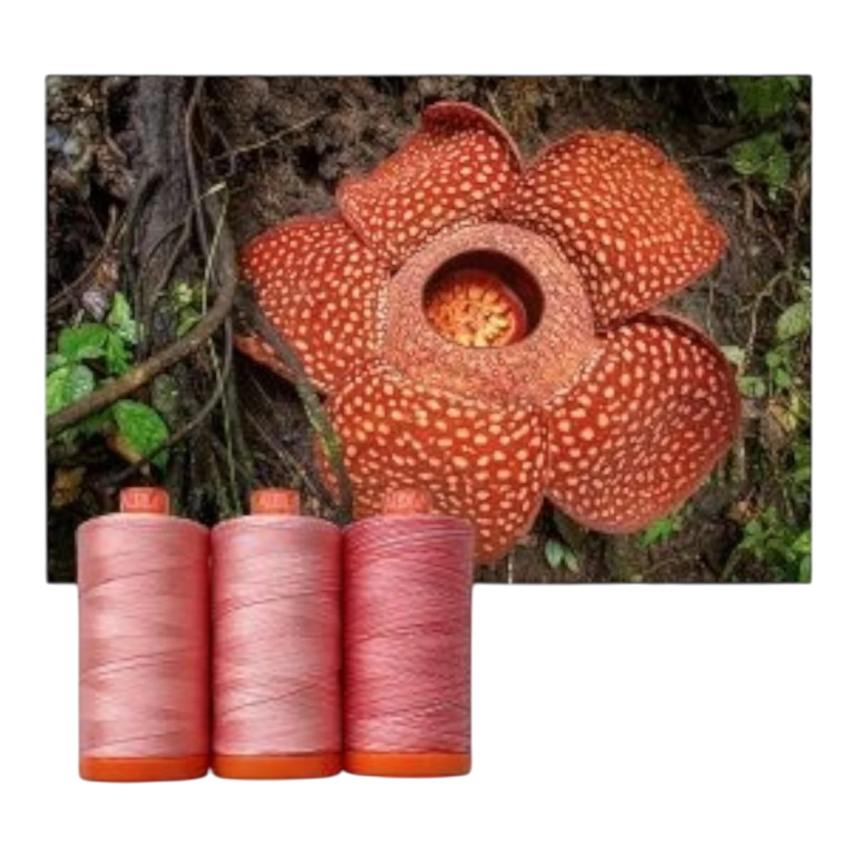 Aurifil 50wt 3-Spool Set Stinking Corpse Lily
