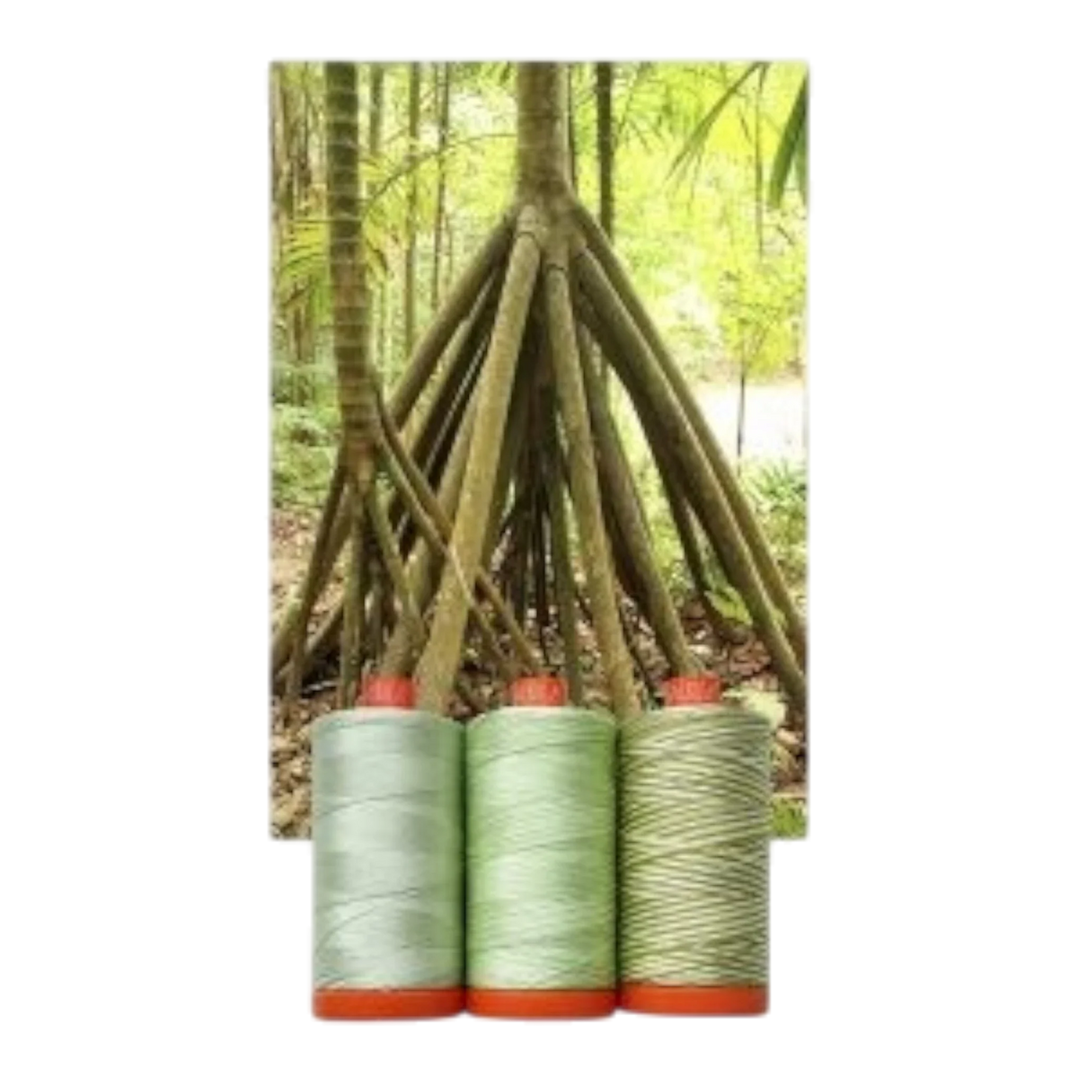 Aurifil 50wt 3-Spool Set Walking Palm