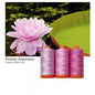 Aurifil 50wt 3-Spool Set Amazon Water Lily