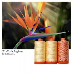 Aurifil 50wt 3-Spool Set Bird of Paradise