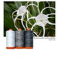 Aurifil 50wt 3-Spool Set Spider Lily