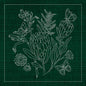 Sashiko Australia Native Flowers 1 - Green , piecing and stitching