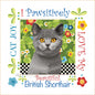 6in Art Panel - BRITISH SHORTHAIR CAT for patchwork, quilting and sewing