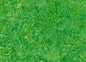 Tropical Dream - 1703 sewing and quilting product
