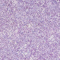 Batiks Exp Tjaps - LAVENDER for patchwork, quilting and sewing
