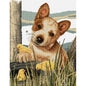 Little Red (Cattle Dog) Cross Stitch Pattern , quilting and craft projects