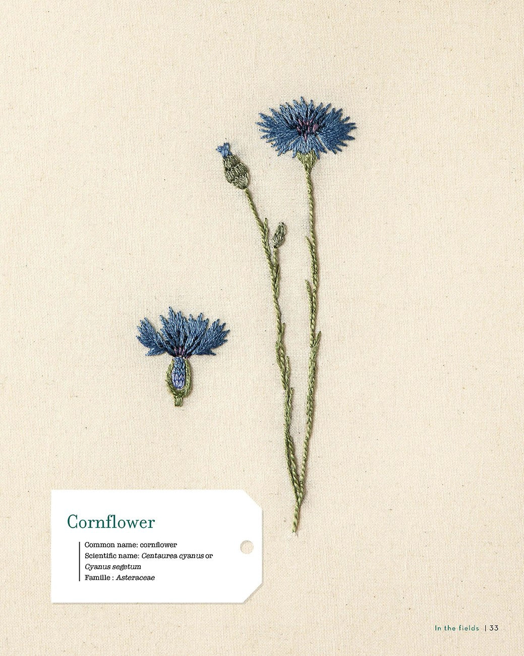 Embroidering Plants and Flowers for Beginners Book – book preview 5