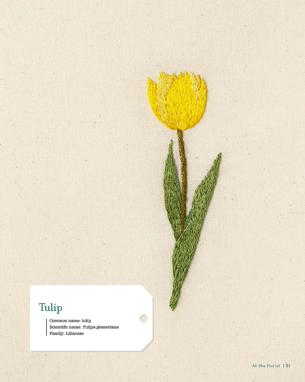 Embroidering Plants and Flowers for Beginners Book – book preview 7