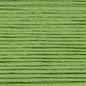 Cosmo Embroidery Floss 25 Dark Citron - 2117 for embroidery, stitching and decorative needlework