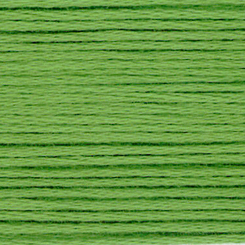 Cosmo Embroidery Floss 25 Calla Green - 2118 for embroidery, stitching and decorative needlework
