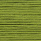 Cosmo Embroidery Floss 25 Grasshopper - 2631 for embroidery, stitching and decorative needlework