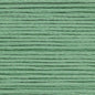 Cosmo Embroidery Floss 25 Fair Green - 317 for embroidery, stitching and decorative needlework