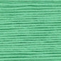 Cosmo Embroidery Floss 25 Kiwi - 334 for embroidery, stitching and decorative needlework