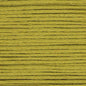 Cosmo Embroidery Floss 25 Amber Green - 822 for embroidery, stitching and decorative needlework