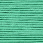 Cosmo Embroidery Floss 25 Peppermint - 843 for embroidery, stitching and decorative needlework