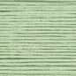 Cosmo Embroidery Floss 25 Nile Green - 921 for embroidery, stitching and decorative needlework