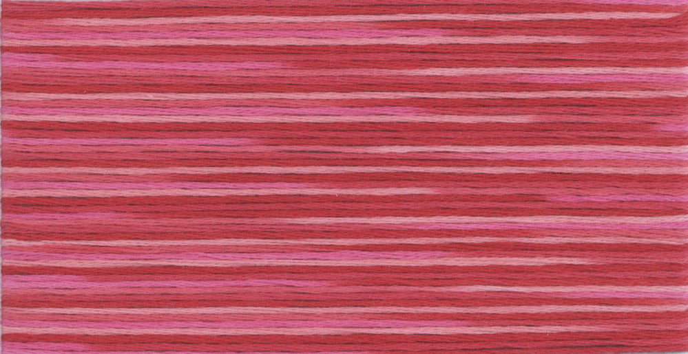 Cosmo Seasons Variegated Embroidery Floss 80 5002 for embroidery, stitching and decorative needlework