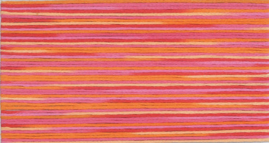 Cosmo Seasons Variegated Embroidery Floss 80 5003 for embroidery, stitching and decorative needlework