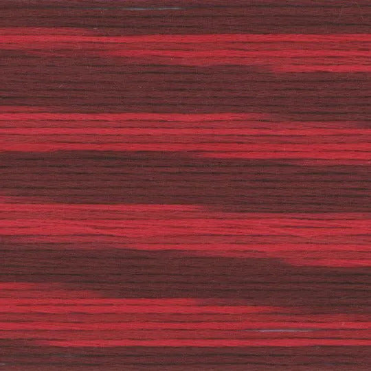 Cosmo Seasons Variegated Embroidery Floss 80 5006 for embroidery, stitching and decorative needlework