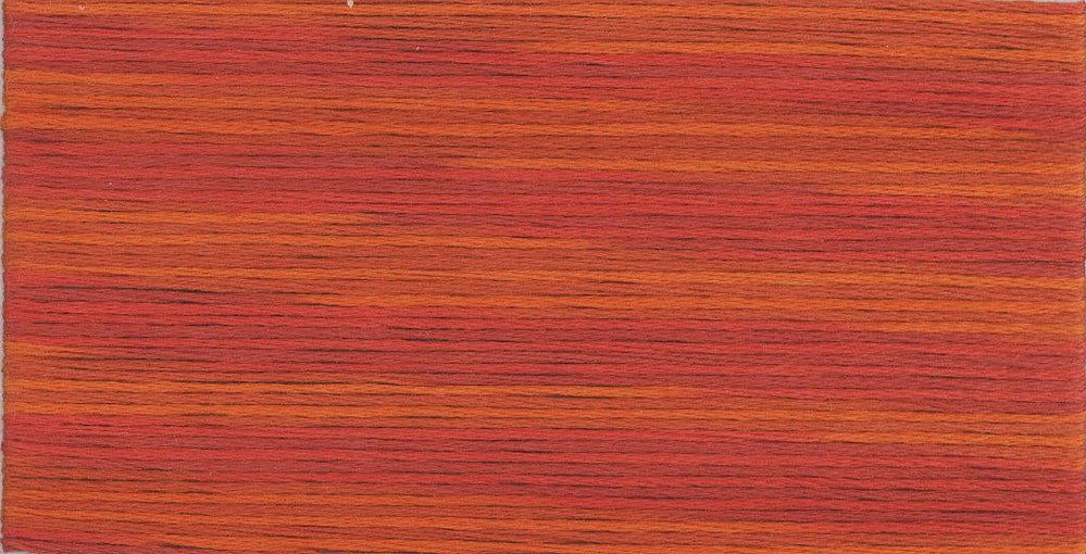 Cosmo Seasons Variegated Embroidery Floss 80 5007 for embroidery, stitching and decorative needlework