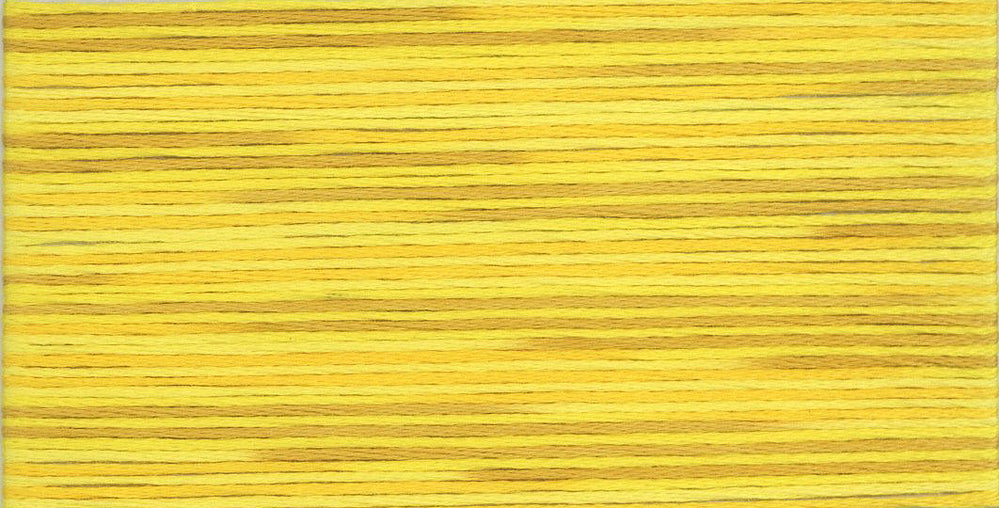 Cosmo Seasons Variegated Embroidery Floss 80 5009 for embroidery, stitching and decorative needlework