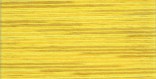 Cosmo Seasons Variegated Embroidery Floss 80 5009 for embroidery, stitching and decorative needlework