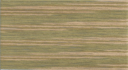 Cosmo Seasons Variegated Embroidery Floss 80 5011 for embroidery, stitching and decorative needlework