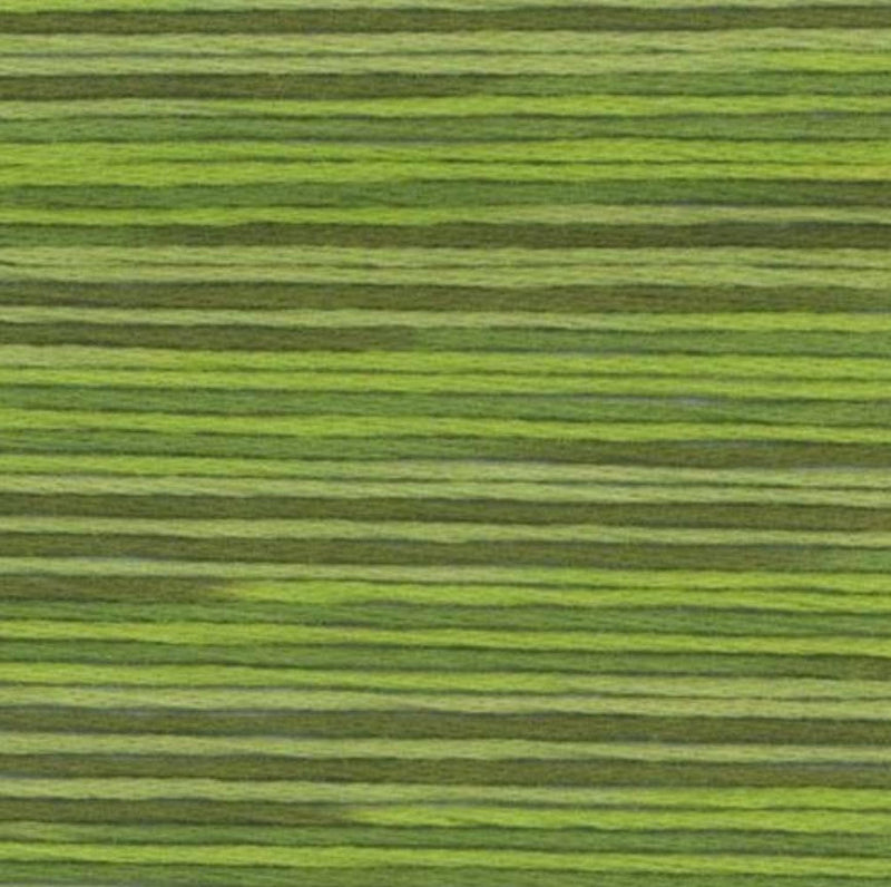 Cosmo Seasons Variegated Embroidery Floss 80 5014 for embroidery, stitching and decorative needlework