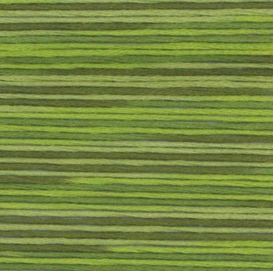 Cosmo Seasons Variegated Embroidery Floss 80 5014 for embroidery, stitching and decorative needlework
