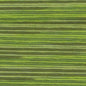 Cosmo Seasons Variegated Embroidery Floss 80 5014 for embroidery, stitching and decorative needlework
