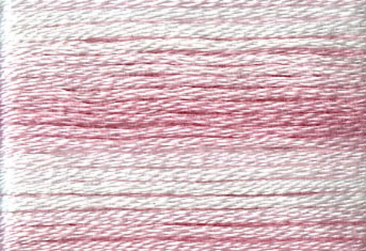 Cosmo Seasons Variegated Embroidery Floss 80 8004 for embroidery, stitching and decorative needlework