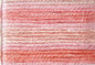 Cosmo Seasons Variegated Embroidery Floss 80 8005 for embroidery, stitching and decorative needlework