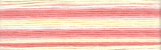 Cosmo Seasons Variegated Embroidery Floss 80 8007 for embroidery, stitching and decorative needlework