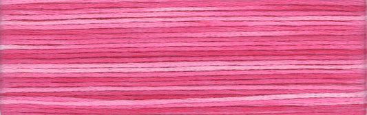 Cosmo Seasons Variegated Embroidery Floss 80 8008 for embroidery, stitching and decorative needlework